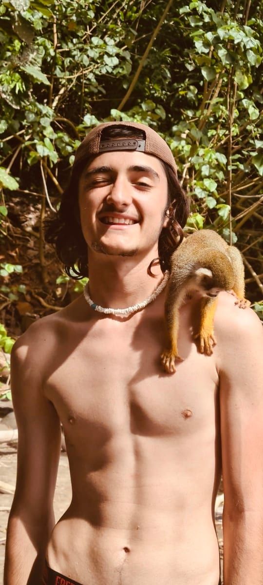 Profil de Basile